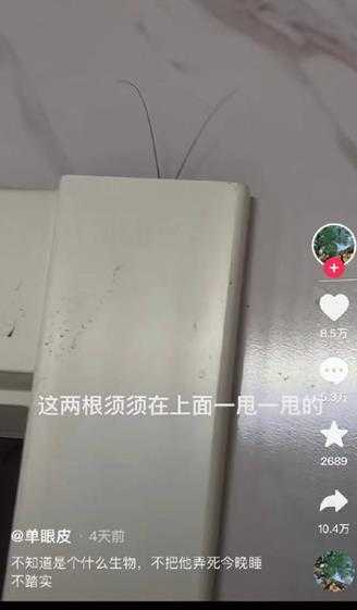 吊带袜的构造原来是这样的 囧图 男朋友为啥不爱抱抱