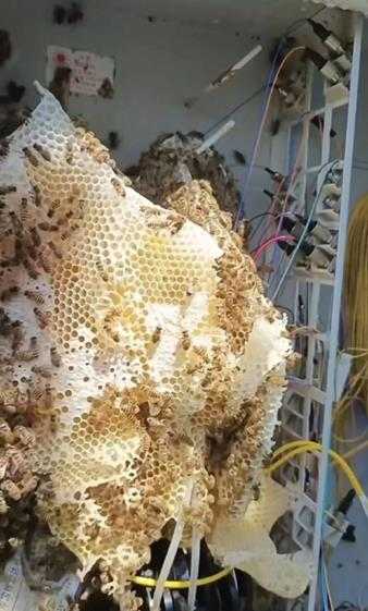 相信我我是工程师 囧图 你懂啥你对象这是入乡随俗