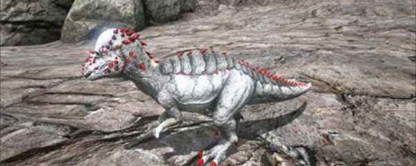 方舟肿头龙有什么用