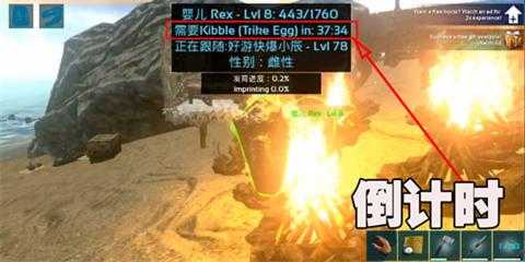 方舟留痕有什么用