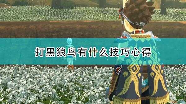 《怪物猎人物语2:毁灭之翼》打黑狼鸟心得分享