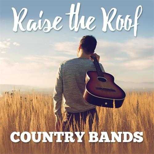 【欧美乡村蓝调】VA-2023-RaisetheRoof:CountryBands(FLAC)