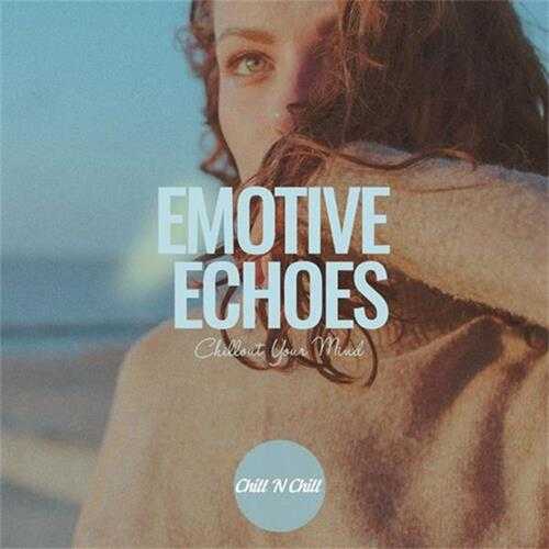 【休闲沙发】VA-2024-EmotiveEchoes:ChilloutYourMind(FLAC)