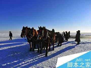 鱼塘理论:你的目标客户在哪里?