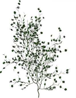 Photoshop婚纱照片合成:个性化装饰